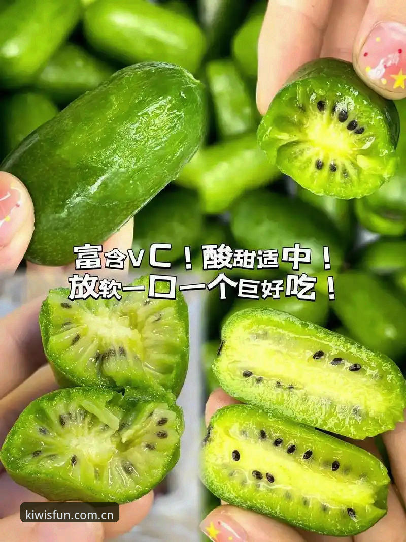 奇异果体育软件下载失败？完整解决指南与实战方案